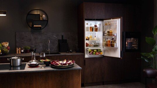 Kitchen counter and fridge-freezer