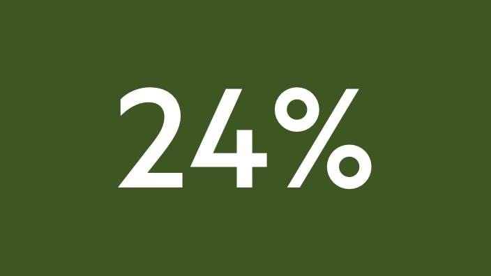 24% text